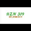zet_nyiar319