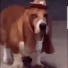 blahthe3rd