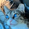 lovelyskye_