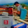 kentangbalap45