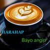 pendiharahap4