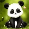 khanobanh29