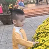 hunghan123456