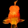 vietfishh