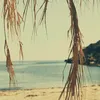onajlime