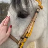 rrezhiinn