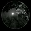 loka.ayman37