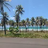 alinesantiago812