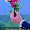 user9423772776946