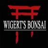 Wigerts Bonsai