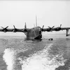 bv_238