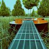 classical_guitars