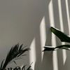 kntor_707