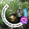 dy6cajjs0dib