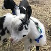 magee_ranch_life
