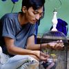 adit12568