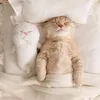goldsy1