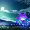 thanhtuyenphan8