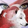 mehmet.gkkya0