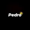 hb.pedro1