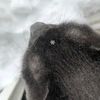 cattyy_07