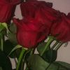 yaqoo_g