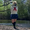 husk_cos.23