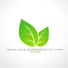 magalanghydroponicsfarm