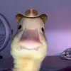 mcnoob_f1