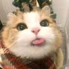 user0461051543l0l