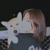 _csvvy