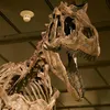 isaque_dino7