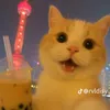 t.kim_102