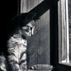 electric_soul22