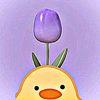 flower_bloom_05