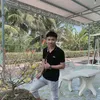 akphan