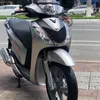 hoangan4498