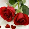 dyx52thnpthd