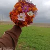 nursile.yldz