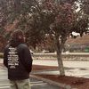 koreal_23_the_pharaoh_