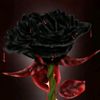 fallenfaith0