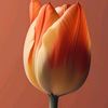 binyam298