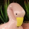 i.like.flamingoes