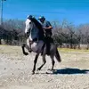 calopez21