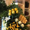 hanenalmajad1