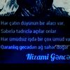 kamandir.444