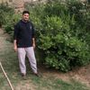 user2594872018774