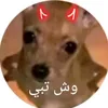 nooranagi