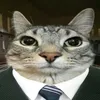 gusta_528