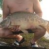 monkey_d_drugus